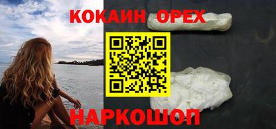 мет Кингисепп