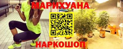 мет Кингисепп