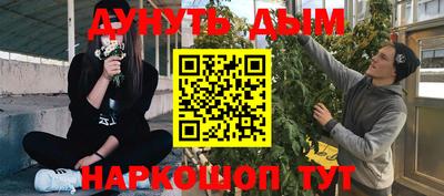 мет Кингисепп