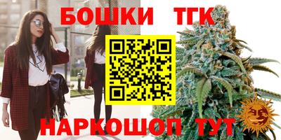 мет Кингисепп