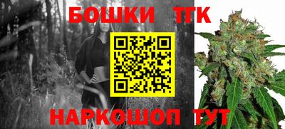 мет Кингисепп