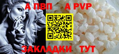 мет Кингисепп