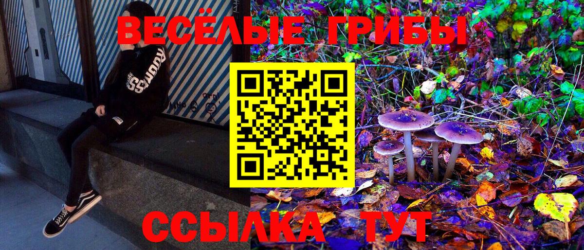 купить   Вход с VPN  Фурманов  Псилоцибиновые грибы Cubensis 